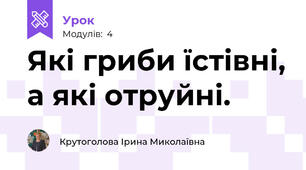 Які гриби їстівні, а які отруйні.