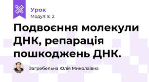 Подвоєння молекули ДНК, репарація пошкоджень ДНК.