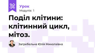 Поділ клітини: клітинний цикл, мітоз.