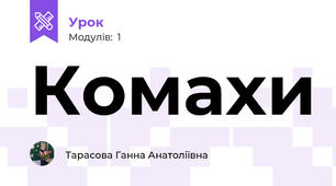  Комахи