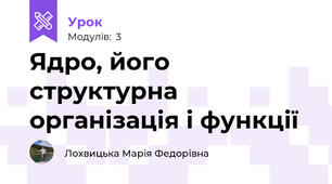 Ядро, його структурна організація і функції