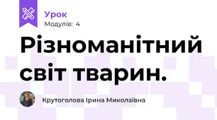 Різноманітний світ тварин.