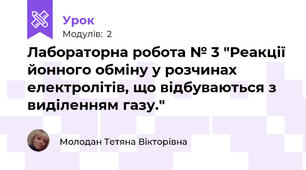 Лабораторна робота № 3 "Реакції йонного обміну у розчинах електролітів, що відбуваються з виділенням газу."