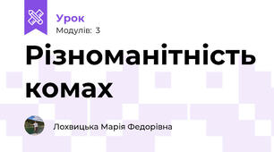 Різноманітність комах