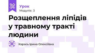 Розщеплення ліпідів у травному тракті людини