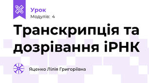 Транскрипція та дозрівання іРНК