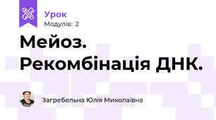 Мейоз. Рекомбінація ДНК.
