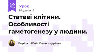 Статеві клітини. Особливості гаметогенезу у людини.