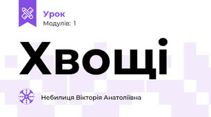 Хвощі