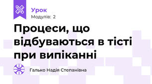 Процеси, що відбуваються в тісті при випіканні 