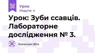  Урок: Зуби ссавців. Лабораторне дослідження № 3. 
