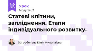 Статеві клітини, запліднення. Етапи індивідуального розвитку.