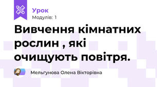 Вивчення кімнатних рослин , які очищують повітря.