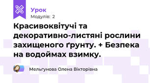 Красивоквітучі та декоративно-листяні рослини захищеного ґрунту. + Безпека на водоймах взимку.