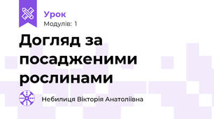Догляд за посадженими рослинами