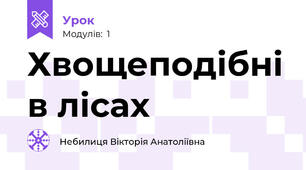 Хвощеподібні в лісах