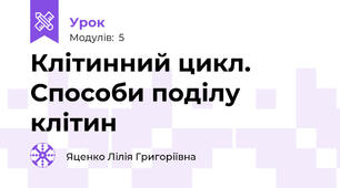 Клітинний цикл. Способи поділу клітин
