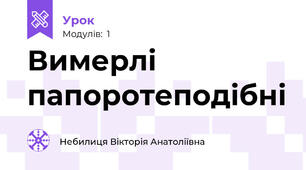 Вимерлі папоротеподібні