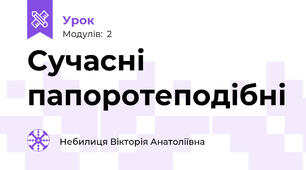 Сучасні папоротеподібні