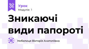 Зникаючі види папороті
