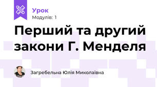 Перший та другий закони Г. Менделя