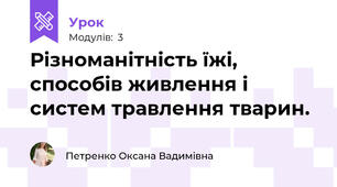 Різноманітність їжі, способів живлення і систем травлення тварин.