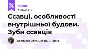Ссавці, особливості внутрішньої будови.  Зуби ссавців