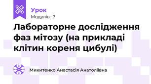 Лабораторне дослідження фаз мітозу (на прикладі клітин кореня цибулі)