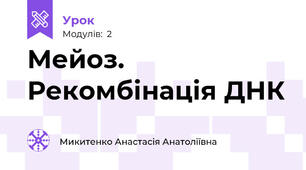 Мейоз. Рекомбінація ДНК
