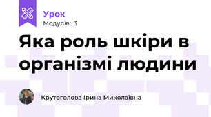 Яка роль шкіри в організмі людини