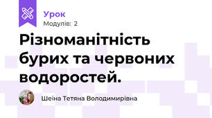Різноманітність бурих та червоних водоростей.