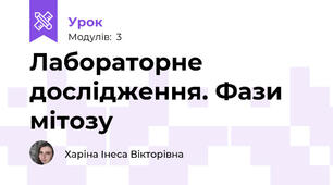 Лабораторне дослідження. Фази мітозу