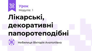 Лікарські, декоративні папоротеподібні