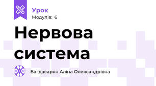 Нервова система 