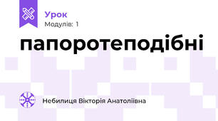 папоротеподібні