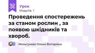 Проведення спостережень за станом рослин , за появою шкідників та хвороб.
