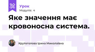 Яке значення має кровоносна система.
