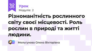 Різноманітність рослинного світу своєї місцевості. Роль рослин в природі та житті людини.
