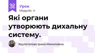Які органи утворюють дихальну систему.