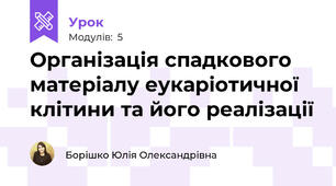Організація спадкового матеріалу еукаріотичної клітини та його реалізації