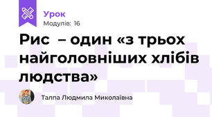 Рис  – один «з трьох найголовніших хлібів людства» 