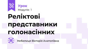 Реліктові представники голонасінних