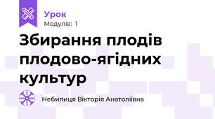 Збирання плодів плодово-ягідних культур