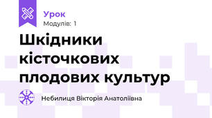 Шкідники кісточкових плодових культур
