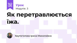Як перетравлюється їжа.