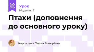 Птахи (доповнення до основного уроку)