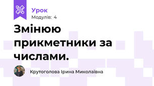 Змінюю прикметники за числами.
