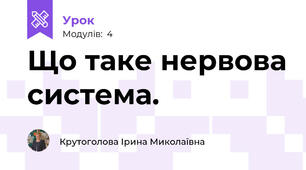 Що таке нервова система.