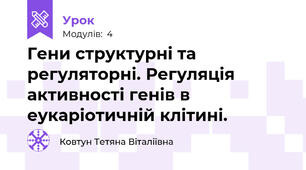 Гени структурні та регуляторні. Регуляція активності генів в еукаріотичній клітині.