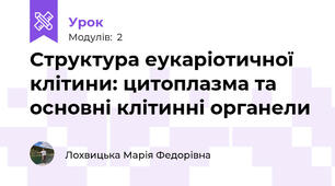 Структура еукаріотичної клітини: цитоплазма та основні клітинні органели